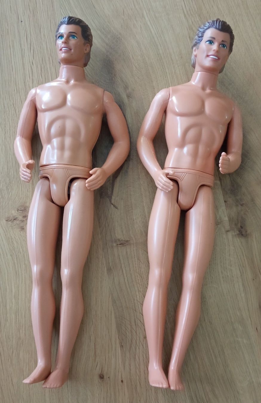 Bambole: Barbie Männer / 2 Stück – Usato da Schwarzenburg venduto da Miri13