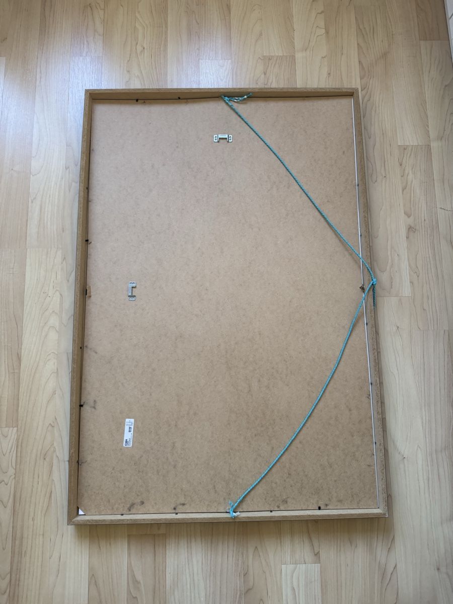 Cornici: Bilderrahmen IKEA RIBBA ohne Poster – Usato da Birmensdorf ZH venduto da mogro7 2