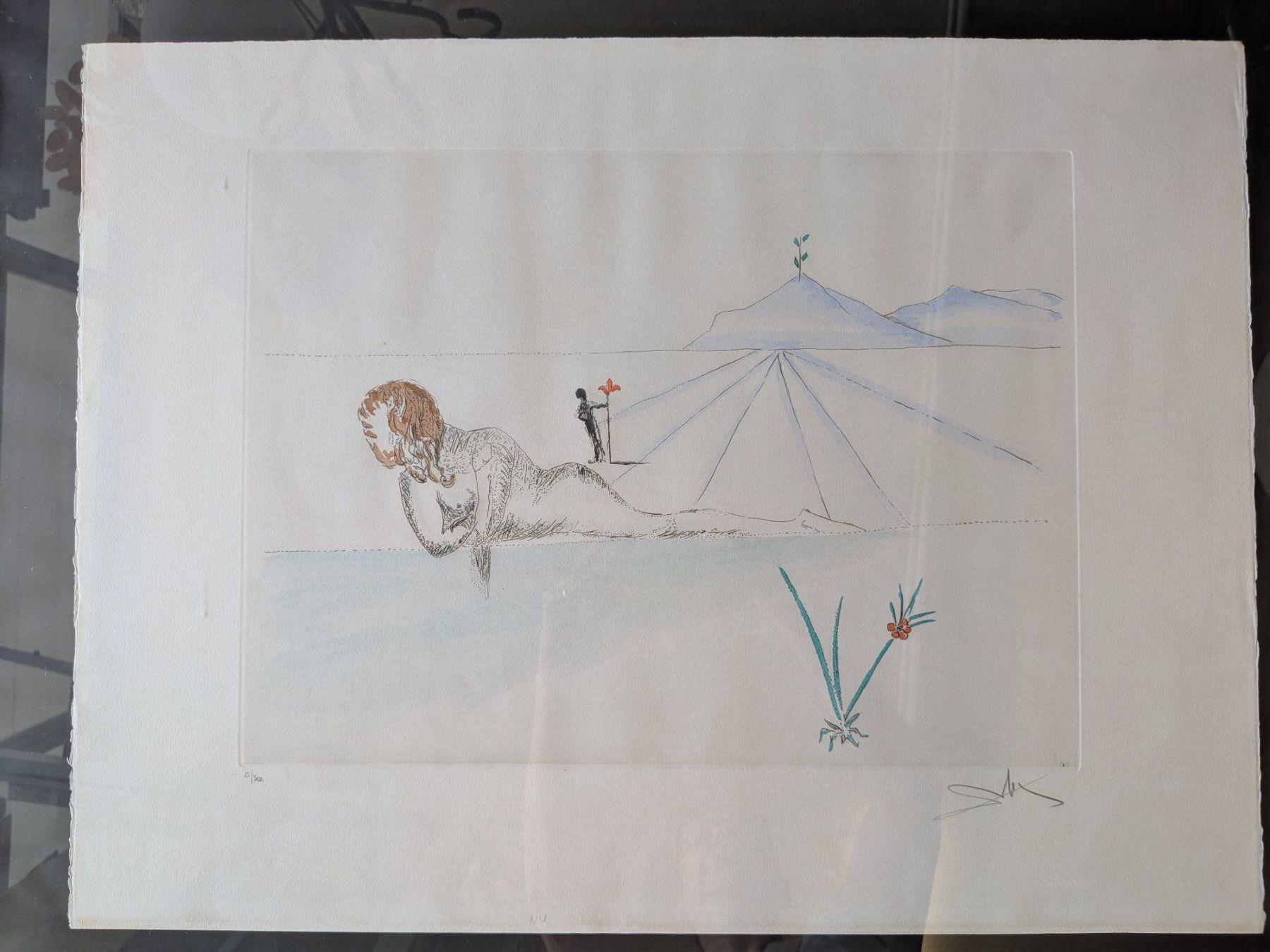 Grafica & Litografie: Lithographie Salvador Dali – Usato da Emmen venduto da magelan 1