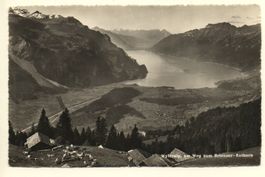 BRIENZ Wirtschaft Wyler-Alp, Kühe