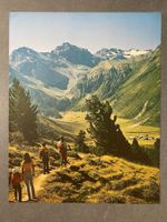 Original Vintage Poster - Davos im Sommer