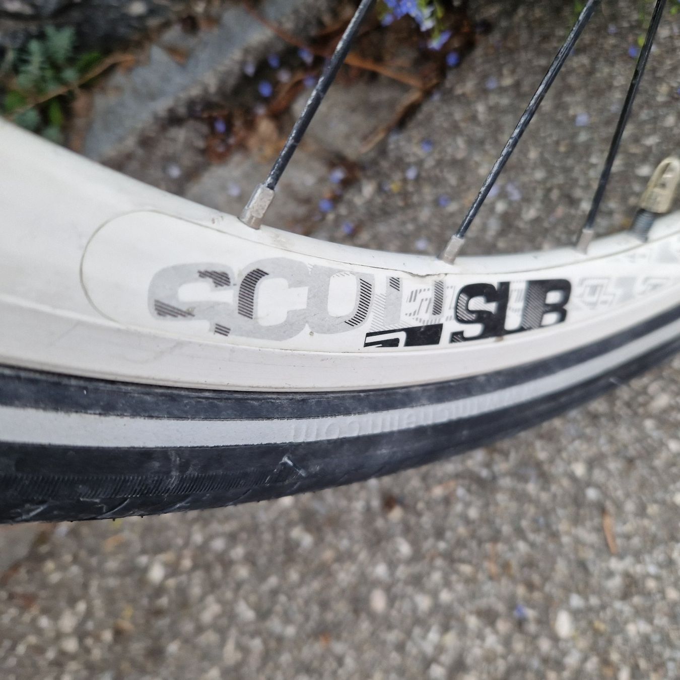 Scott Velos: Scott Sub 10 Damen Velo Nabenschaltung – Gebraucht aus Münsingen von Geeskile 8