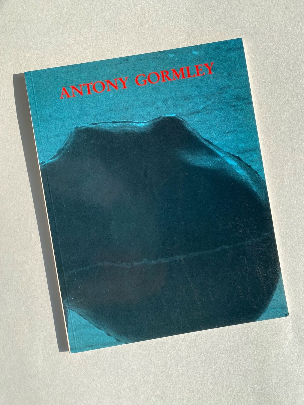 Libri: Antony Gormley Ausstellungskatalog 1985 – Usato da Zürich venduto da lesgarcons