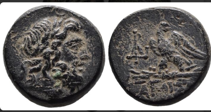 Tutti le monete: Dichalque Pontos Mithridates VI-80-65 AV JC – Usato da Morges venduto da Yavob