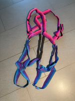 Mammut-Bernina-Combi Klettergurt Grösse L