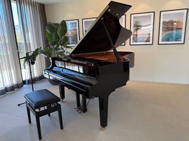 Yamaha Flügel DC6X-212 cm Disklavier Enspire PRO schwarz pol