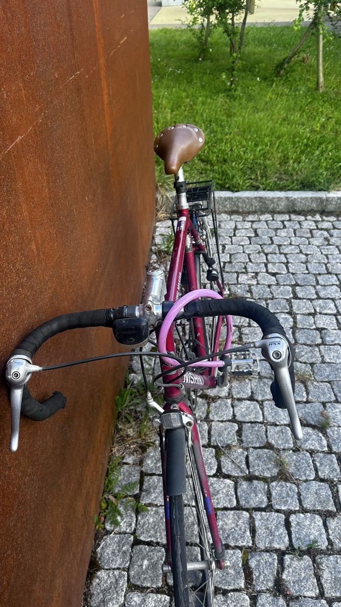 Biciclette: Rennvelo Nishiki Racing Master – Usato da Allschwil venduto da manukr00 1
