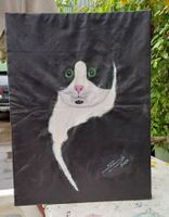Schwarzweisse Katze Schwarz Weiss Kater Tuxedo Grüne Augen