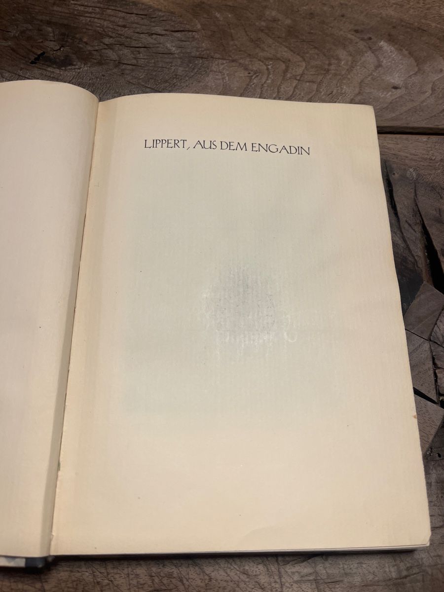 Libri: Lippert, Aus dem Engadin – Usato da Zuoz venduto da Grr1974