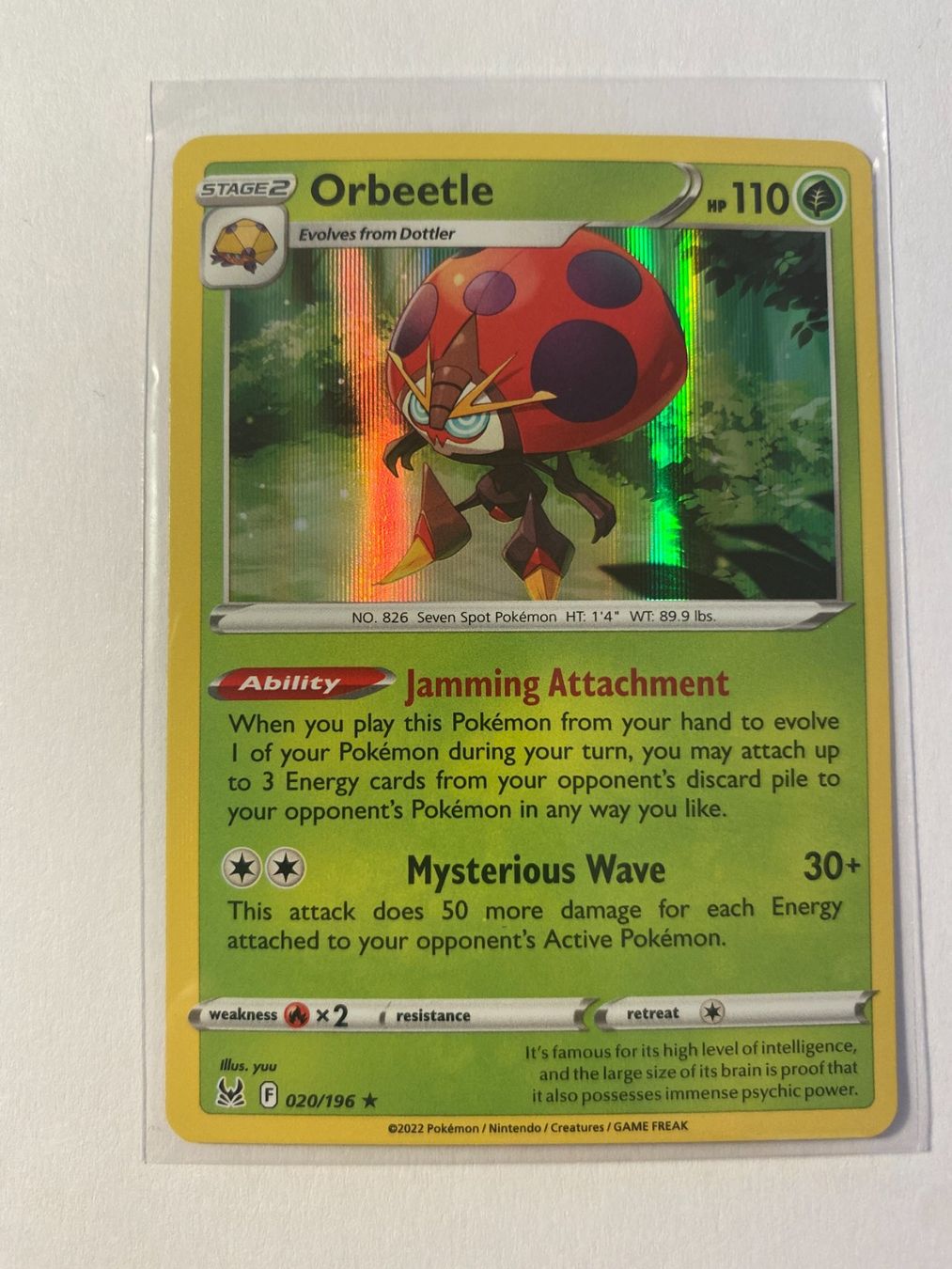 Pokémon Carte collezionabili: Pokemon Orbeetle 020/196 holo Lost Origin EN – Nuovo (secondo la descrizione) da Weingarten-Kalthäusern venduto da McGmavlo