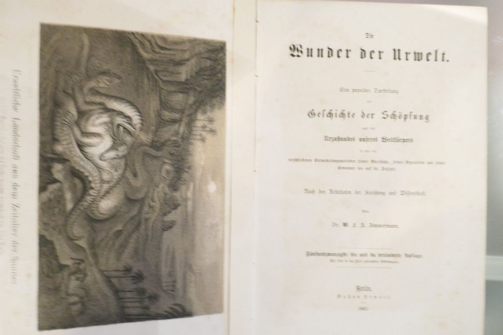 Livres: 6 Antike Bücher 1886-87 von Dr. A. Zimmermann Berlin – D'occasion à Schaffhausen par swisswatches-andmore 7
