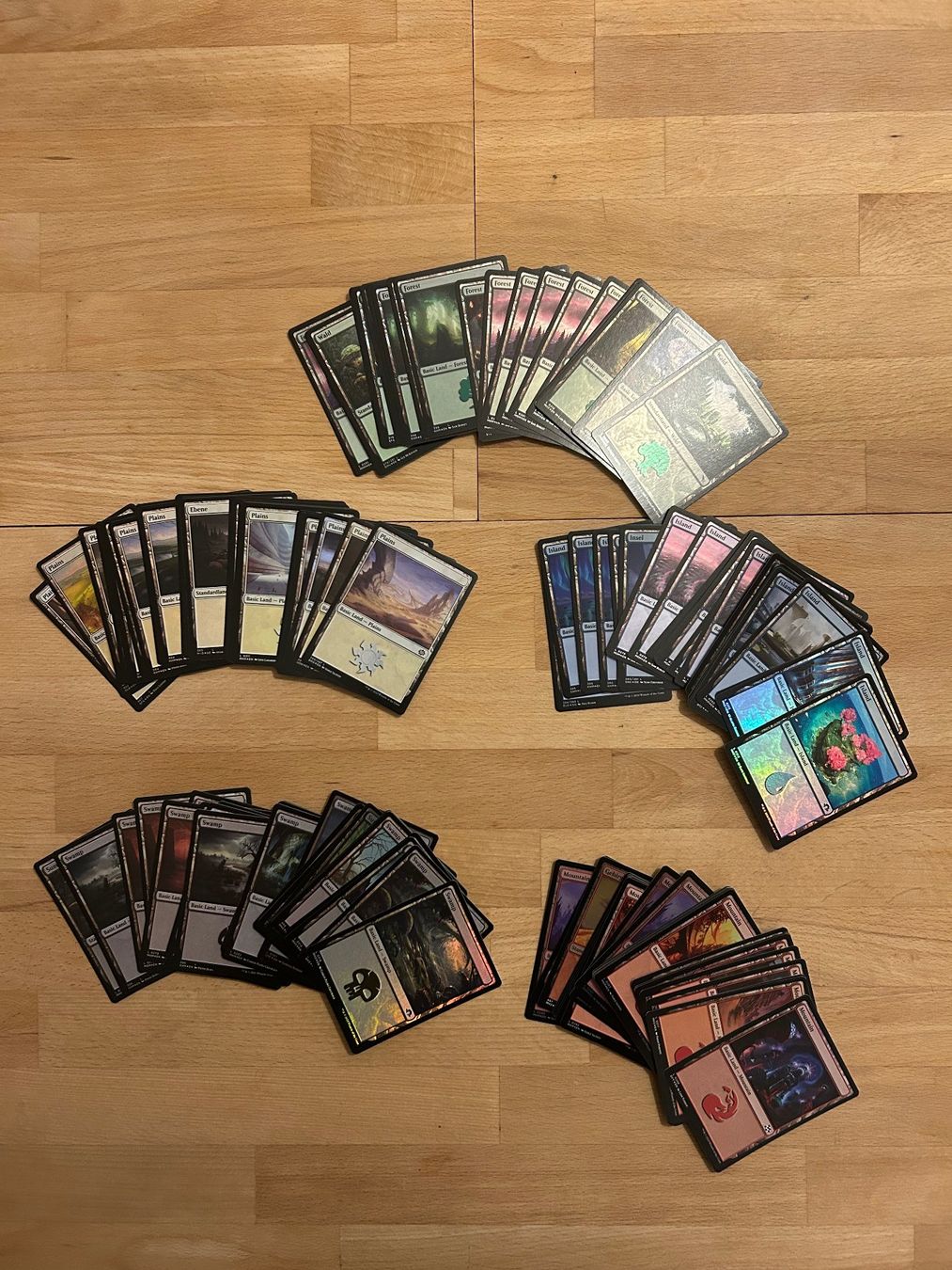 Hasbro Giochi: 100 Foil Basic Lands Magic: The Gathering Karten – Usato da Aarau venduto da Maclovio