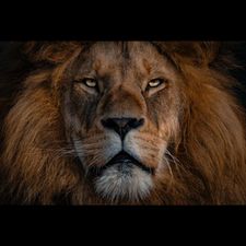 Profile image of Mert_Arslan17