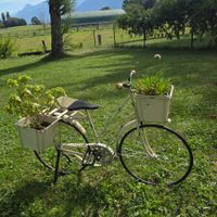Petit vélo décoratif pour jardin et plantes