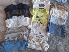 Lot 14 bodies taille 80 manches courtes