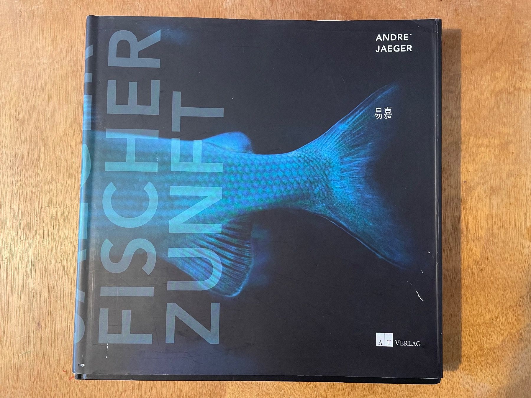 Libri: André Jaeger. Fischerzunft – Usato da Zürich venduto da WWehrle