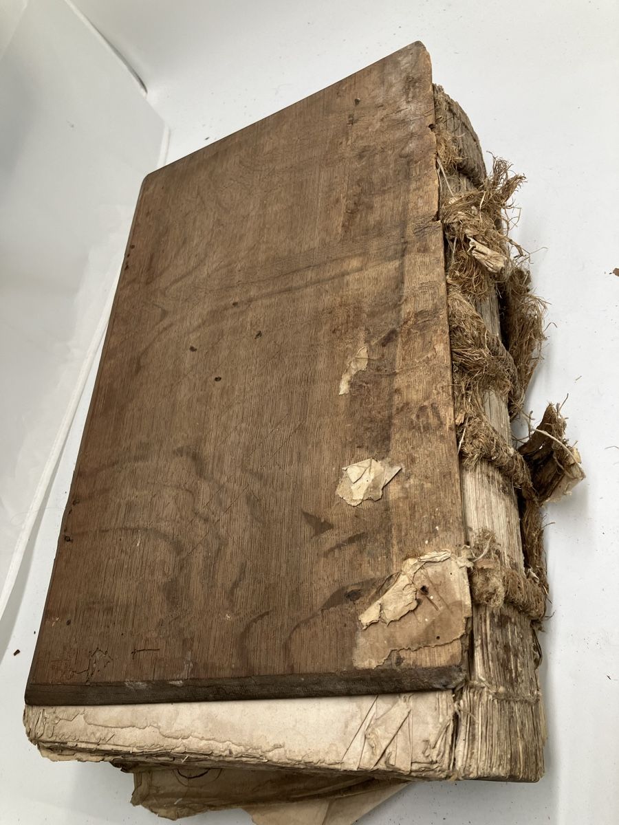 Libri: Antike Bibel – Usato da fribourg venduto da Retroverso 7