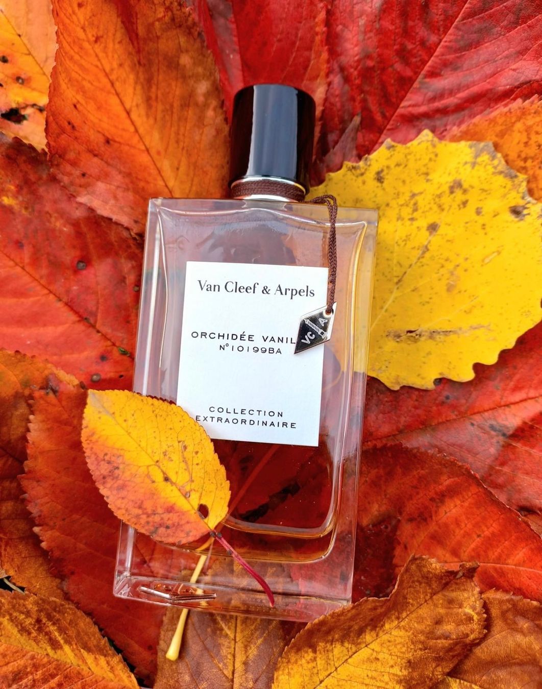Van Cleef Parfum & Eau de Toilette: Van Cleef & Arpels Orhidee vanille 6ml sample – Neu (gemäss Beschreibung) aus Chêne-Bougeries von Seetooyoo 9