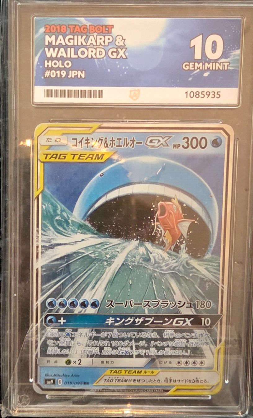 Pokémon Carte collezionabili: Graded Pokémon Karten Lot – Nuovo (secondo la descrizione) da Birmensdorf ZH venduto da JebBush 6