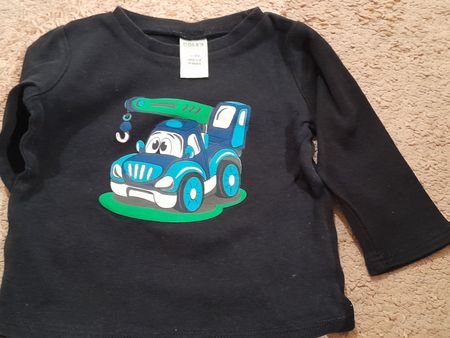 Langarmshirt mit Kran-Motiv, Grösse 80