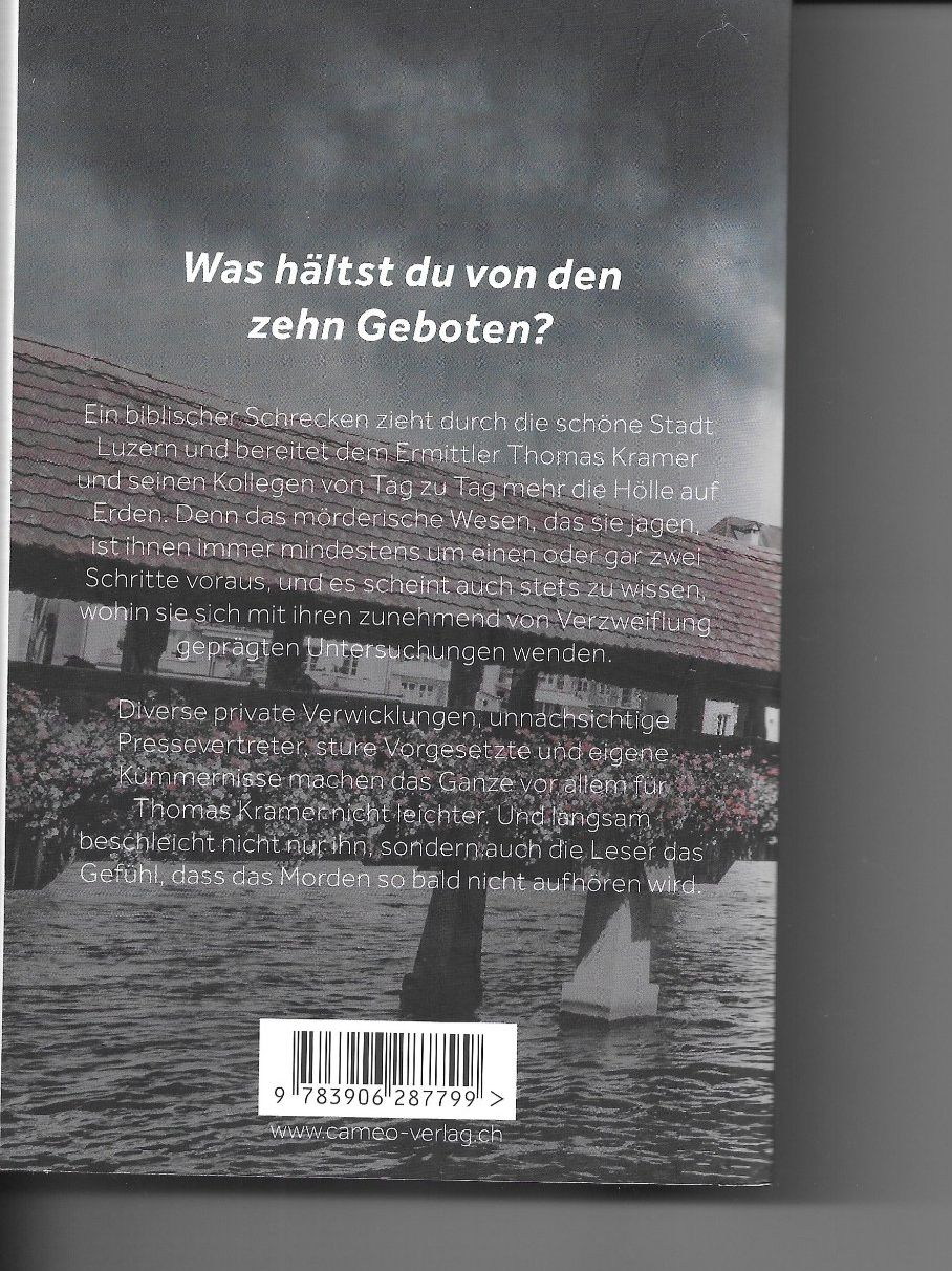 Libri: ENGELFINGER von Silvia Götschi – Usato da Samstagern venduto da Bladetigi 1