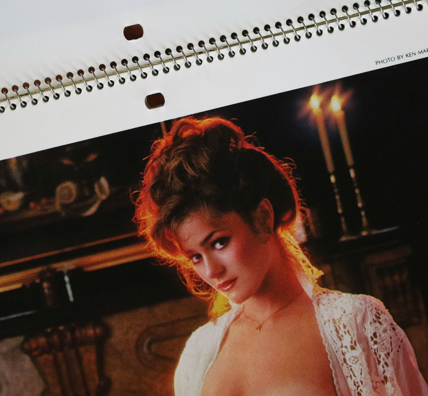 Playboy Calendari: PLAYBOY Kalender 1983 – Usato da Birrwil venduto da brandschatz_birrwil 1