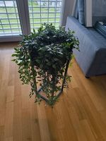 4x IKEA Fejka Künstliche Topfflanze (ohne Topf)
