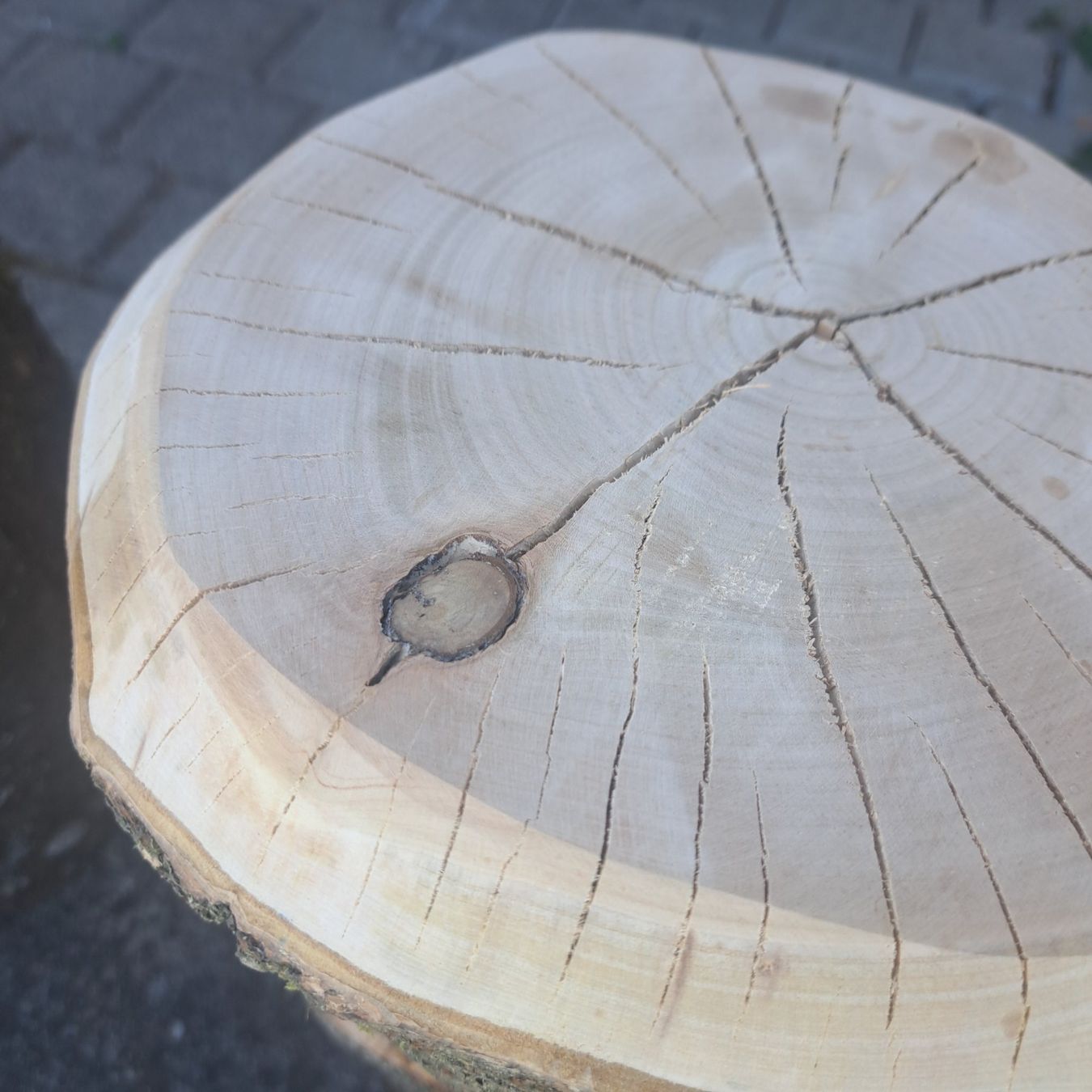 Tabourets: rundholz hocker kirschbaum – Neuf (Voir description) à Benzenschwil par 007tinu 5
