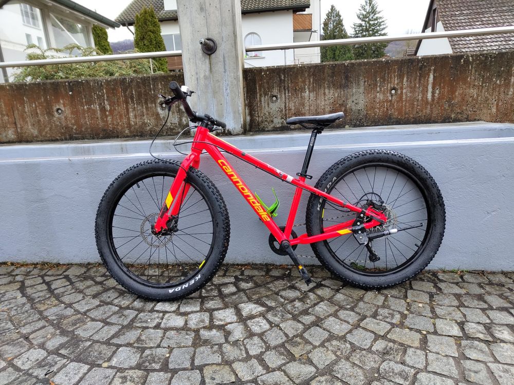 Cannondale cujo outlet 24 ltd