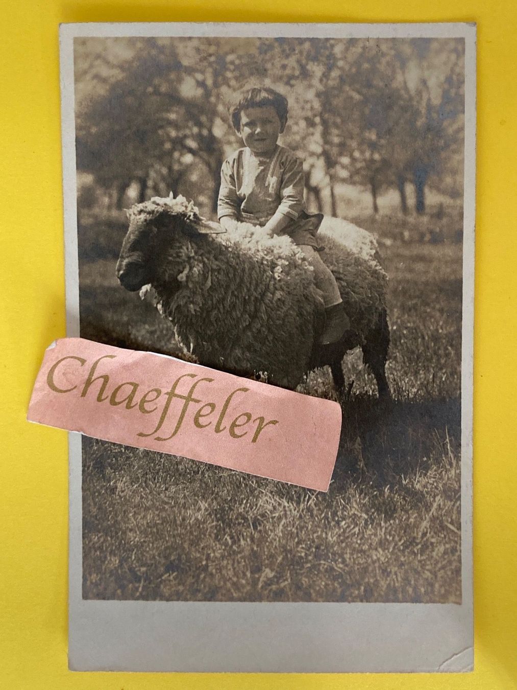 Cartes postales: 1921.  2724 ein Ritt auf dem Schafbock – D'occasion à Zürich par Chaeffeler