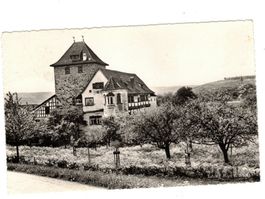 Schloss Hegi Zürich Winterthur