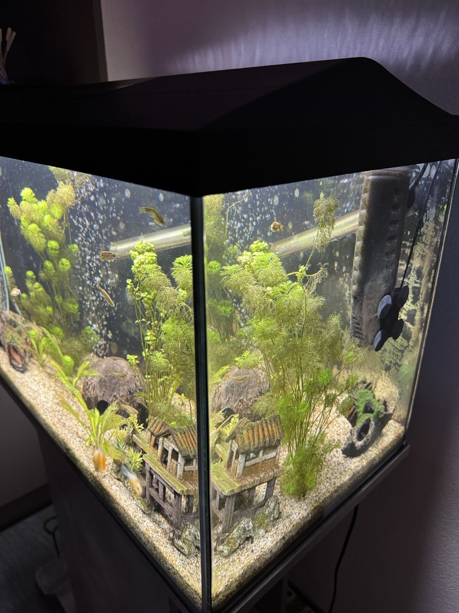 Acquari: Aquarium 120l – Nuovo (secondo la descrizione) da St. Margrethen SG venduto da mur_9vrk 2