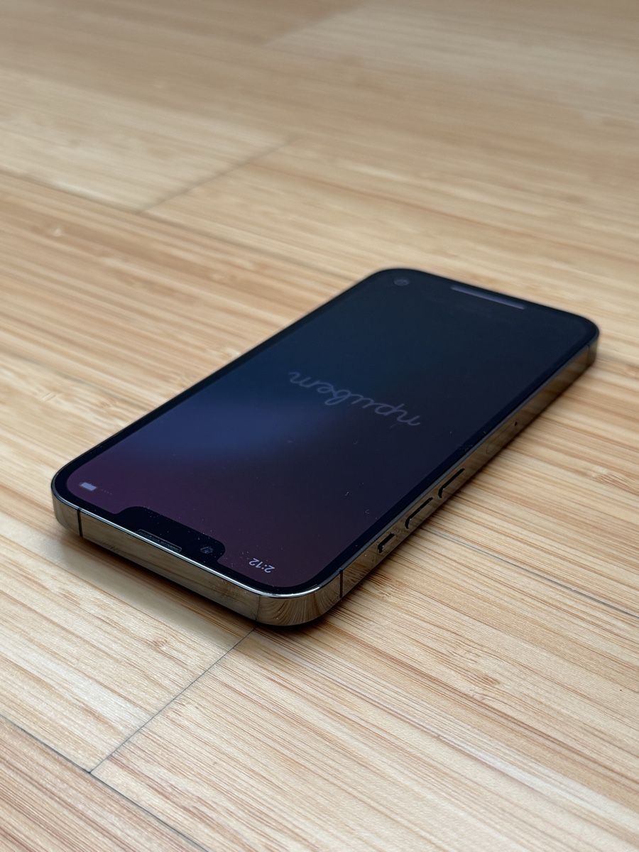 Apple Telefoni cellulari / Smartphones: iPhone 13 Pro 256GB Graphite - Neuwertig – Usato da Galgenen venduto da White73 4