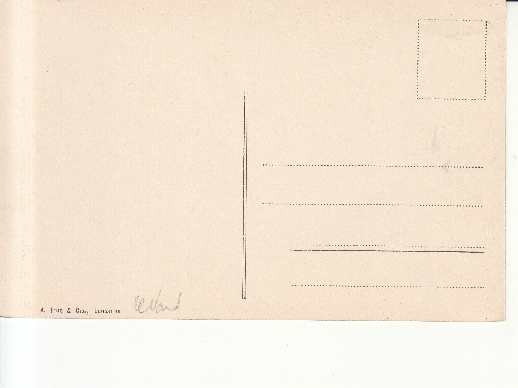 Cartoline postali: Lausanne ca. 1920 – Usato da Bürglen TG venduto da StampGraf 1