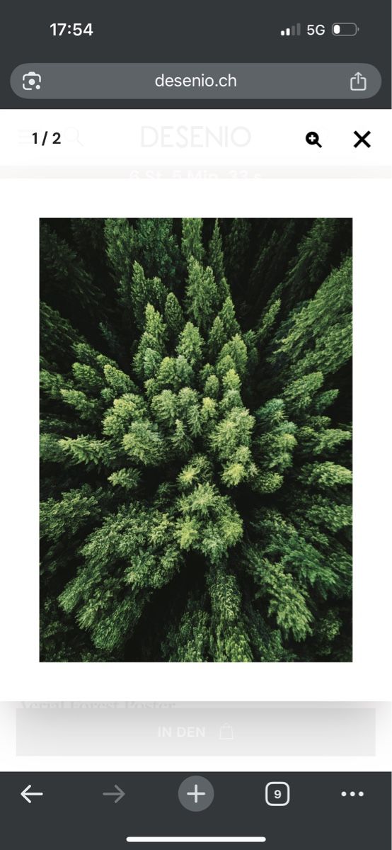 Foto & Immagini: Desenio Wald Poster, neu, 30x40cm – Nuovo (secondo la descrizione) da Bern venduto da mom_d6hv