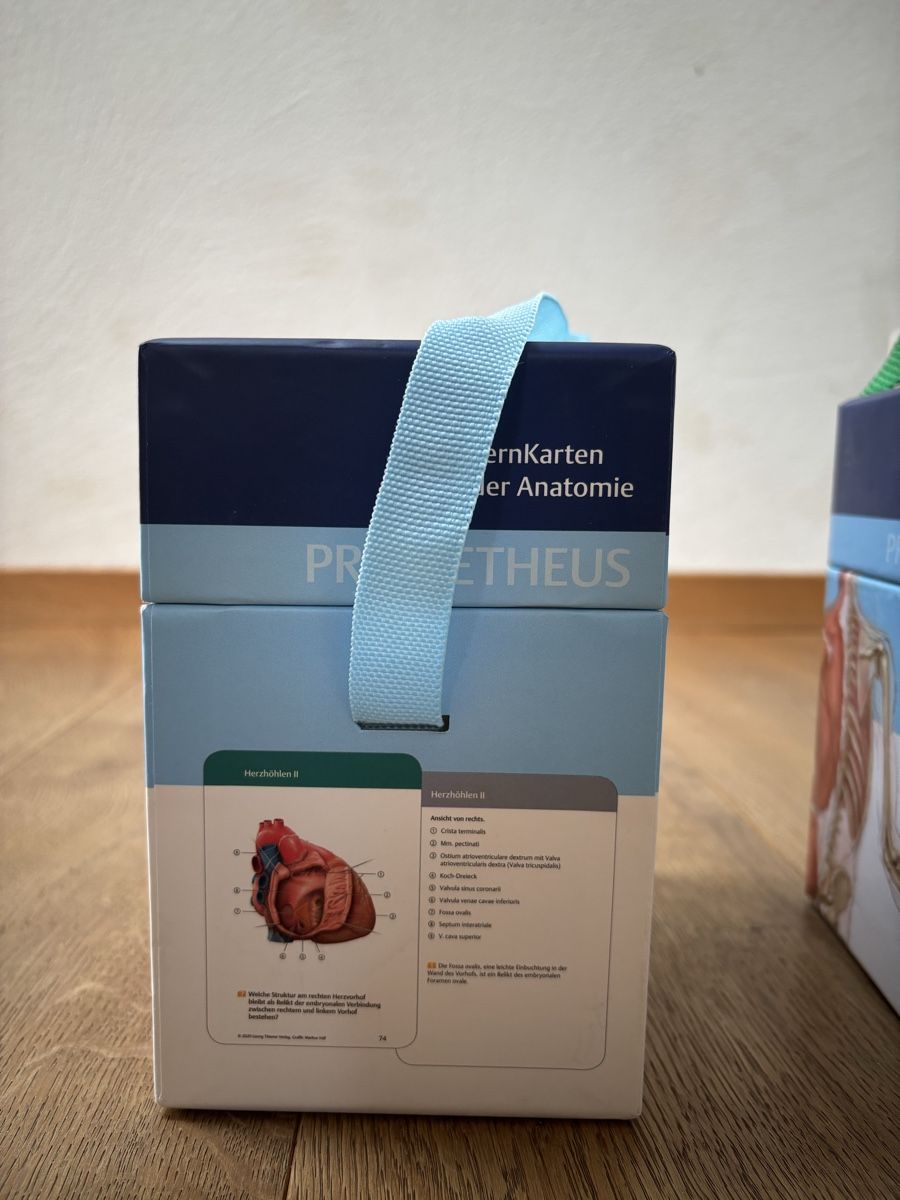 Altro materiale scolastico: Prometheus Lernkarten der Anatomie – Usato da Männedorf venduto da giu_wm6d 2