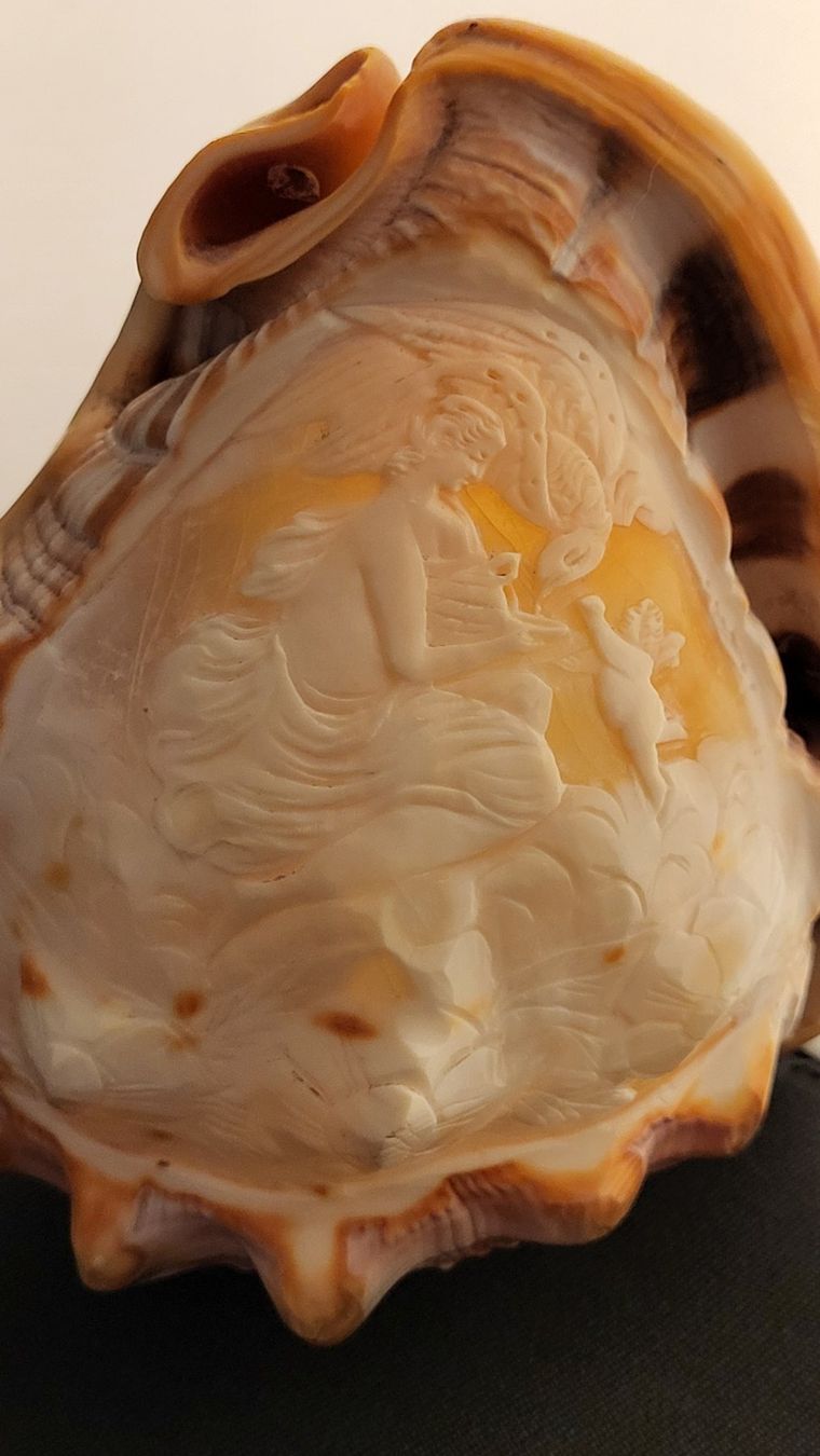 Figuren: Handgeschnitzte Cameo-Muschel – Gebraucht aus Basel von spinne02 6