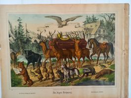 Ancienne chromolitho  Les Funérailles du Chasseur