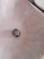 Pandora charm bead mauve stone, silver 925, heart-shape side
