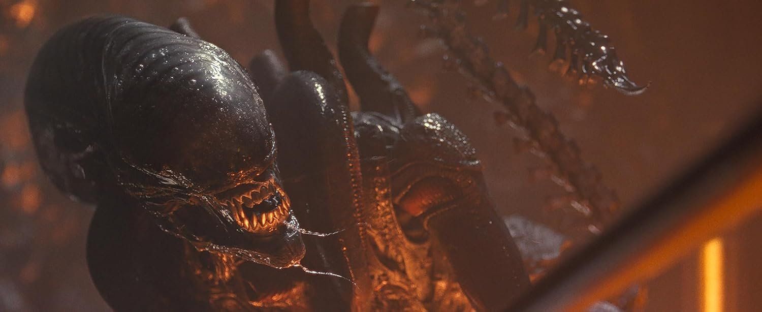 Alle DVDs: Blu-ray - Alien: Romulus - Steelbook - 4K + Blu-ray – Neu und originalverpackt aus Dübendorf von 13geister 3