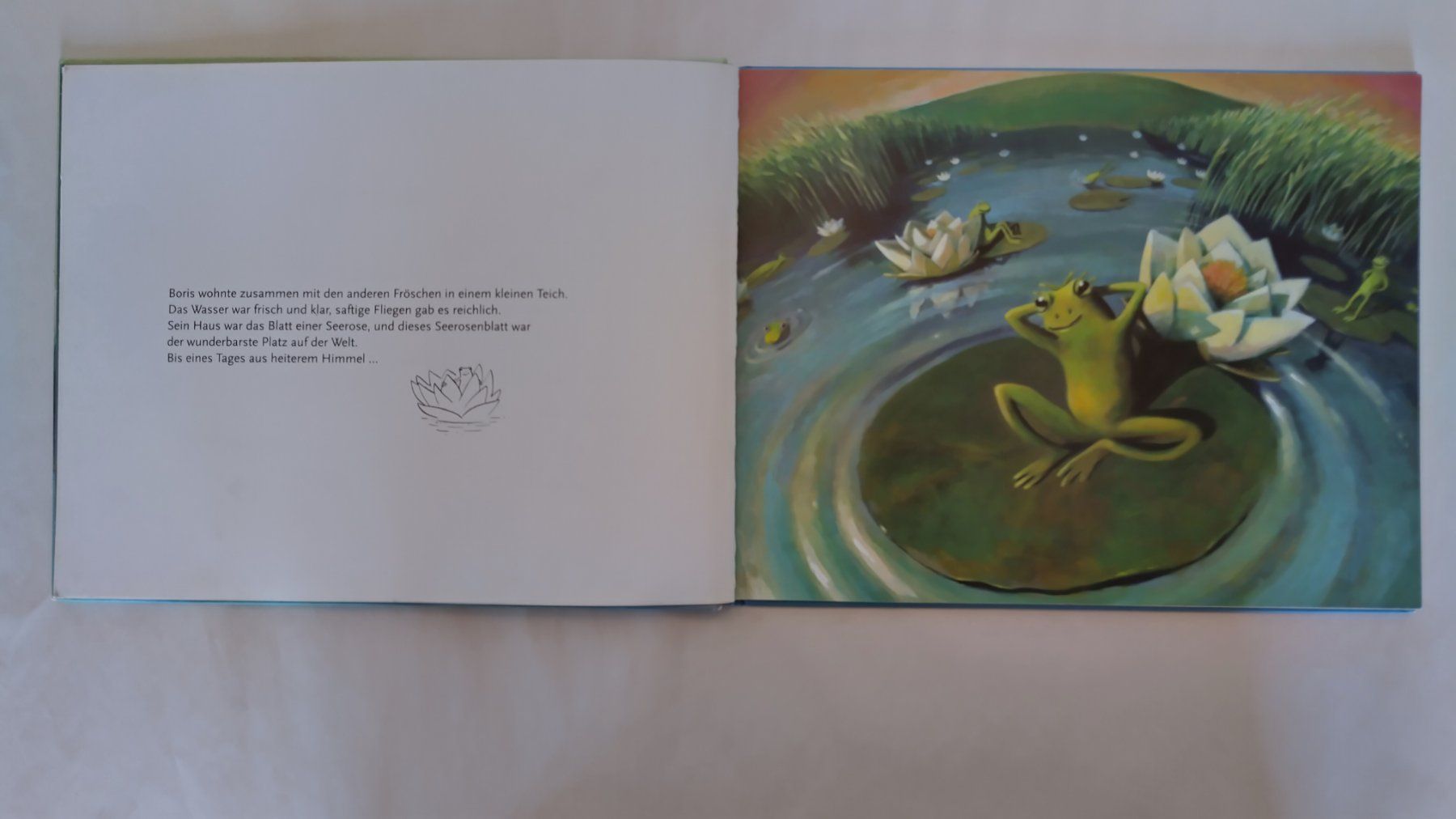 Libri: Der wunderbarste Platz auf der Welt / Bilderbuch 2012 – Usato da Bellach venduto da JingleJerry 2