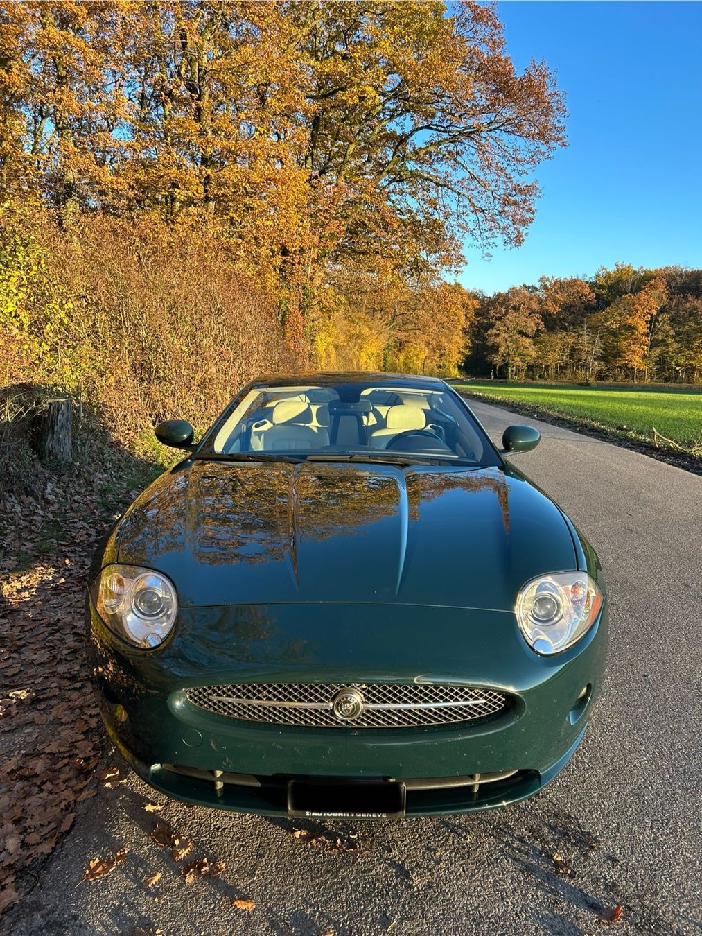 Jaguar Automobili: JAGUAR XK 4.2 – Usato da Savièse venduto da mal_w8m2