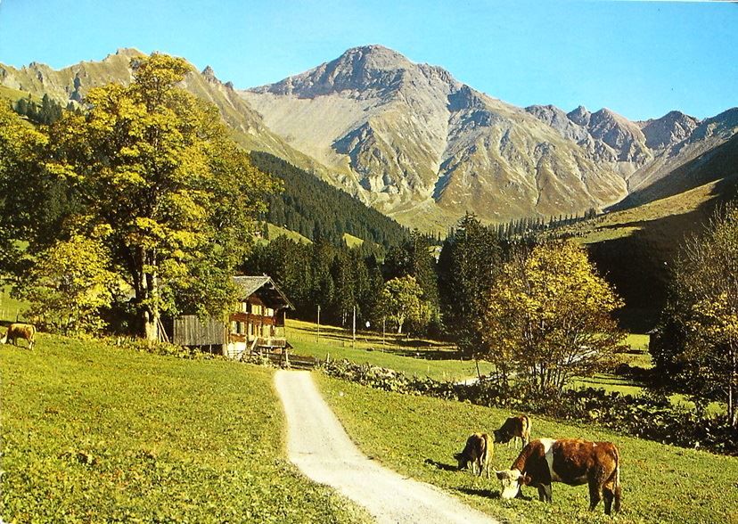 Cartes postales: ST. STEPHAN Alp Gsür im Färmeltal, Kühe – D'occasion à Jona par philajona