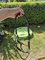 Schwarzer, robuster Pferdehalfter - Ideal für den Sommer!