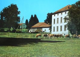 LES EMIBOIS Maison de vacances Les Ecarres - Kühe