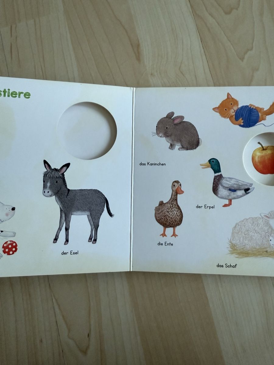 Libri: Babybuch – Nuovo (secondo la descrizione) da kollbrunn venduto da veronic.h 1