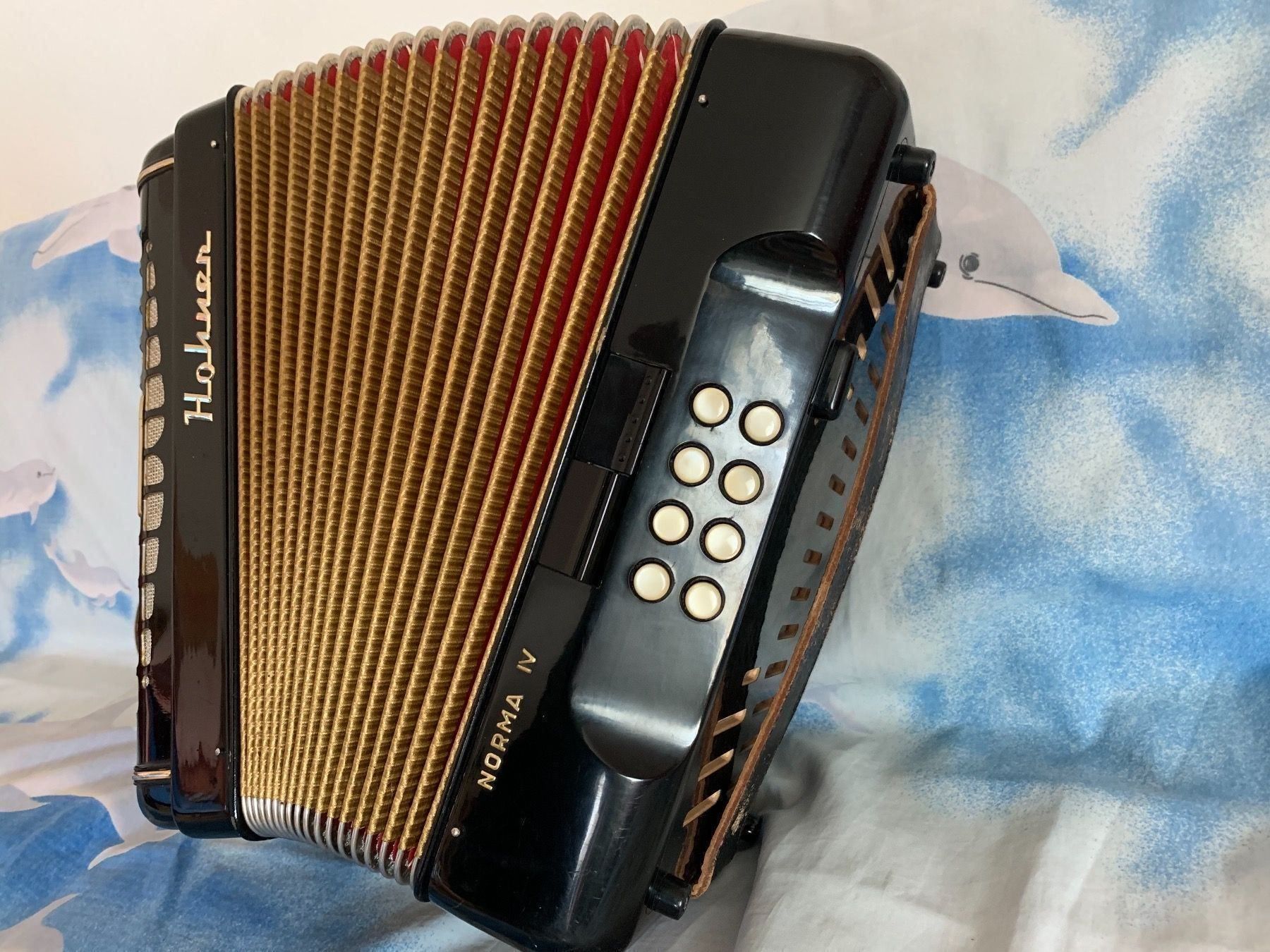 Hohner Strumenti musicali: Diatonisch Akkordeon – Usato da Zürich venduto da Olimpied 1