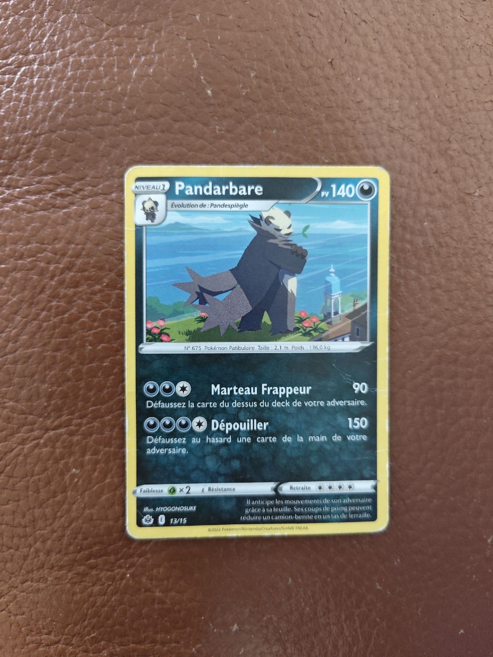 Pokémon Carte collezionabili: Pokémon Pandarbare – Usato da Neuchâtel venduto da nbr_z8jr