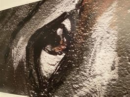 Poster autocollant "graffiti" 130 x 50 / Poster Sticker