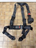 Corbeau Auto Renngurt - Car Racing Tuning Belt
